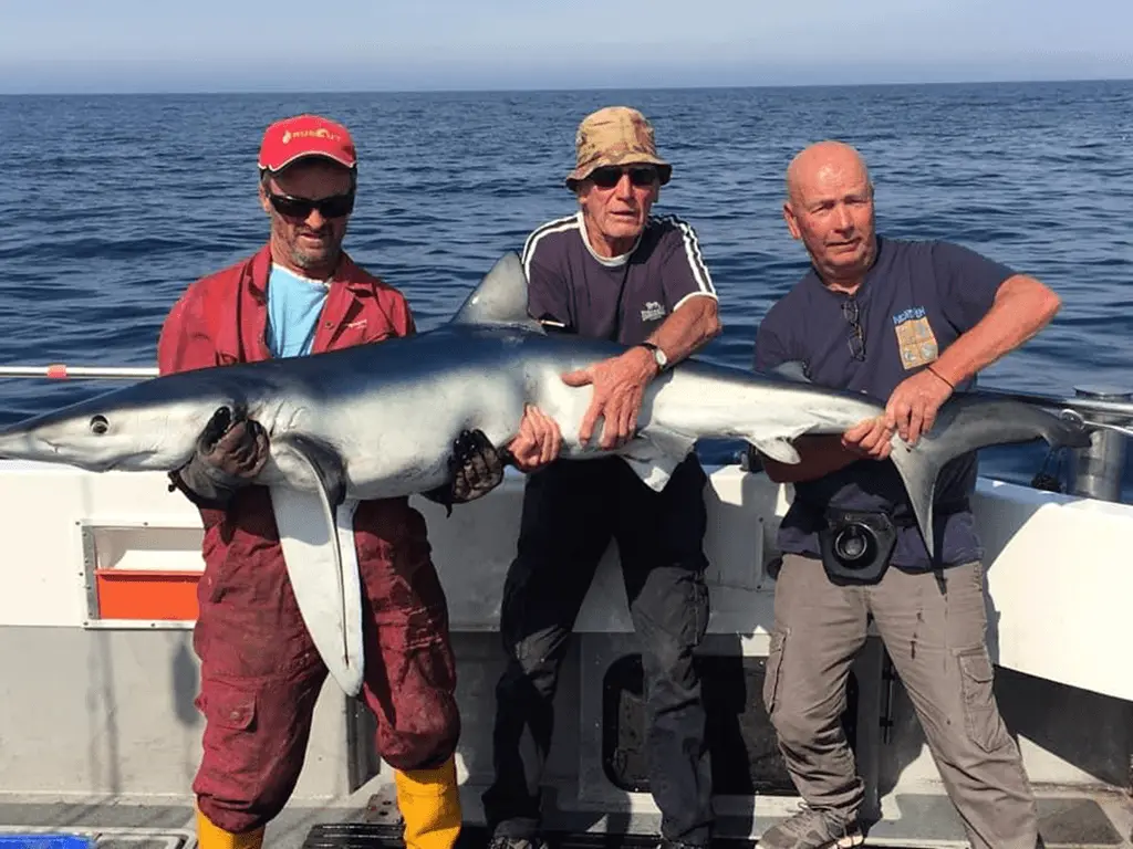 Sea Fishing Trips in Looe