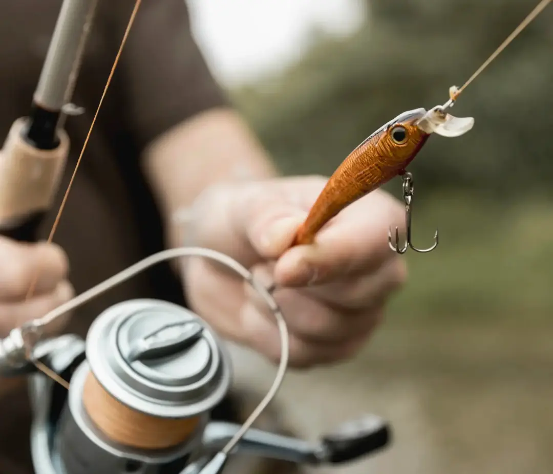 Top Lures and Baits for Mackerel