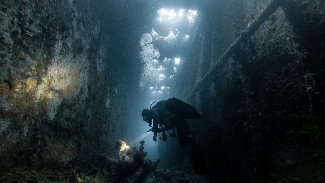 What Is Wreck Fishing In The UK What Is Wreck Fishing In The UK Image