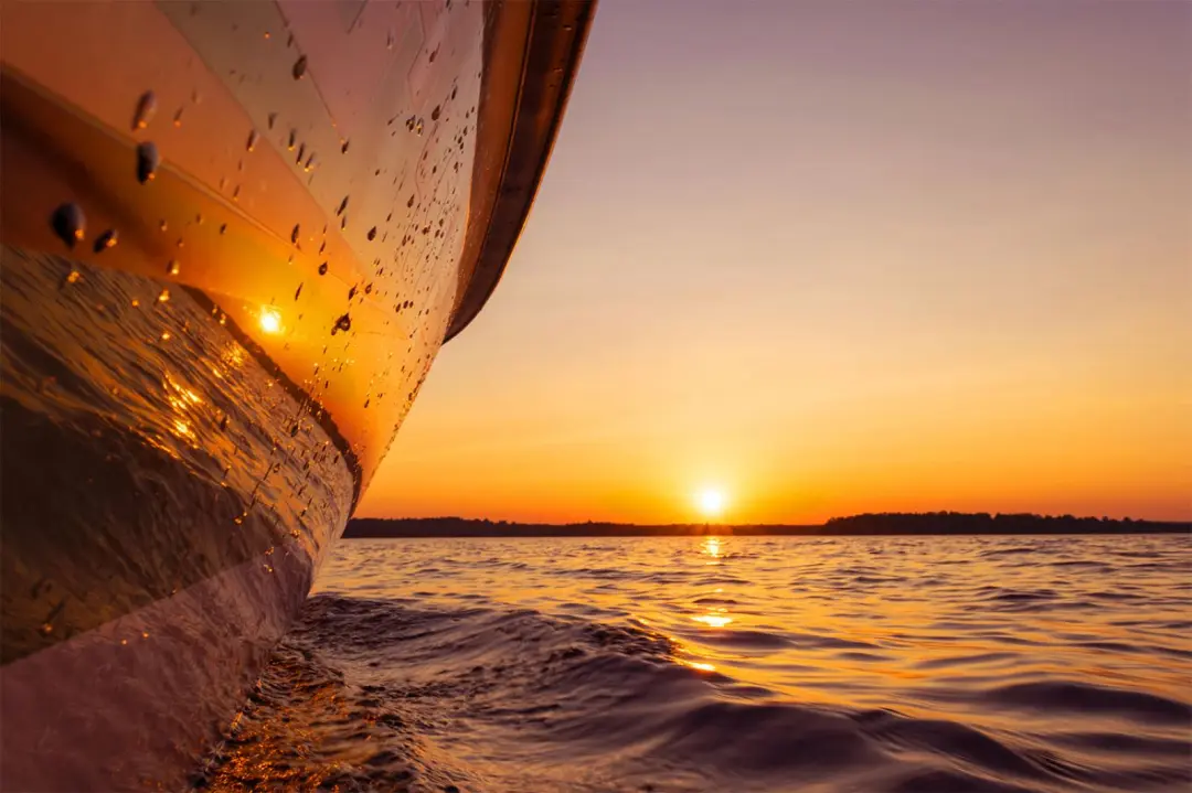 Is Sea Fishing Free In The UK Is Sea Fishing Free In The UK Image