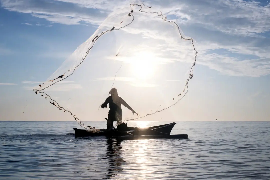 How Weather Affects Mackerel Activity