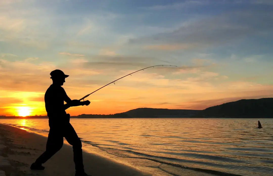 Best Times of Year for Mackerel Fishing Image